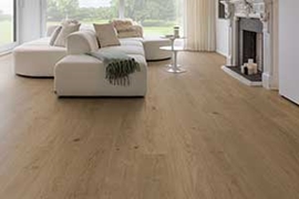 [CollectionItems.CatItem.PictureAltTag]