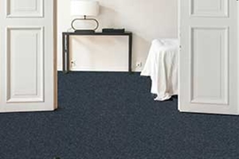 [CollectionItems.CatItem.PictureAltTag]